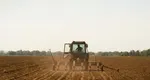 Românii care au un hectar de teren arabil pot primi 10.000 de euro pentru a face o pădure
