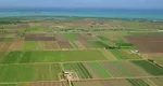Cât costă un hectar de teren agricol în județele din sudul României