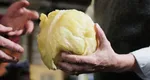 Leguma care este de 2 ori mai scumpă la raft sau în piață decât la producător