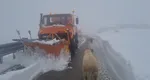 Ninge la munte! Transfăgărășanul și Transalpina rămân închise în weekend. Cea mai frumoasă şosea ar putea fi închisă total pentru reparaţii