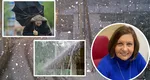 EXCLUSIV- Elena Mateescu (ANM) avertizează scăderi bruște de temperatură: În ce zone sunt posibile ninsori