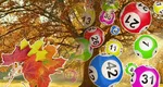 Rezultate Loto 5 octombrie 2025. Report de peste 7.2 milioane de euro la categoria I. La Noroc sunt în joc peste 574.000 de euro