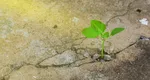 4 ZODII care NU pot fi oprite în OCTOMBRIE 2025. Ce rol are prezența focosului Marte în secretosul Scorpion