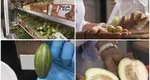 Muncitorii asiatici aduc cultura culinară din țările de origine în România. Ce fructe și legume asiatice au intrat pe piața din România