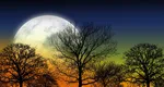 Luna Plină a toamnei astronomice aduce energie în contrast cu vibrațiile actuale ale sezonului Balanței, care pune accent pe diplomație, echilibru și armonie