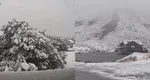 Ninsoarea face prăpăd la munte. Blackout în stațiunile montane, turiști blocați în zăpezi imense și mașini înghițite de nămeți VIDEO
