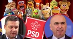 Ciprian Ciucu: „La PSD e o strategie, ca 3 indivizi într-un Muppets show să îl atace pe Ilie Bolojan. Poate ne organizăm şi noi şi-l facem terci pe Grindeanu”