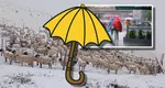 Prognoza meteo. Vortexul aduce temperaturi siberiene la munte, se vor resimţi MINUS 20 de grade Celsius. Ploi de Cod roşu timp de 24 de ore în restul ţării!