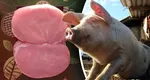 Cât costă un kilogram de cotlet de porc bio în magazinele din România. De banii ăștia mai bine iei masa la restaurant și îți ajunge și de desert