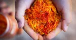 Care este cel mai scump condiment din lume. ”Aurul roșu” se cultivă și în România