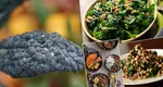 Ce este varza neagră și de ce trebuie să o adaugi pe lista alimentelor în sezonul rece. Rețetele pe care le poți pregăti acasă
