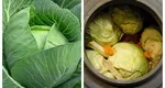 Varză murată cu apă sărată din izvoare naturale. Rețeta transmisă din generație în generație