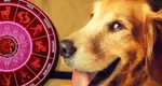 Zeii s-au decis: Trei zodii au tras lozul câştigător al destinului. În următorii cinci ani îi așteaptă noroc deplin, bani fără număr și fericire în doi