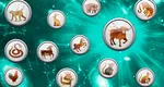 Zodiac CHINEZESC săptămâna 20 – 26 octombrie 2025. O perioadă a schimbărilor profunde, norocul și răbdarea pot rescrie destinul fiecărui semn