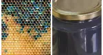 Ce este mierea albastră. Urmează să ajungă și în magazinele din România