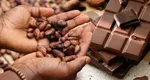 Piața dulciurilor, puternic afectată de scumpirea boabelor de cacao. Ciocolata, tot mai des înlocuită cu creme de fructe