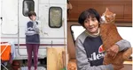 Femeia de 70 de ani care trăiește într-o rulotă, în cartierul milionarilor. Doamna Ioana a strâns 50 de pisici: „Soțul meu a murit, îl lăsasem de la băutură”