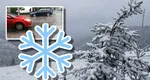 Prognoza meteo 30 noiembrie 2025. Vreme închisă în ultima zi de toamnă calendaristică. Nori, ploi și ninsoare de Sfântul Andrei