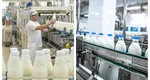 O cunoscută fabrică de lactate se închide după mai bine de 100 de ani. Care sunt motivele