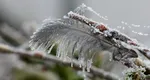 Meteorologii Accuweather anunță ger de crapă pietrele. Pe ce dată vor fi -17 grade în România