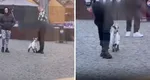 VIDEO – Scene memorabile la un Târg de Crăciun: Un bărbat a ieșit la plimbare cu un ieduț adorabil