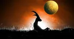 Mercur în Capricorn 2026 deschide jocul marilor decizii. PLANURI în FORȚĂ pentru TOATE zodiile la început de an!