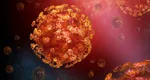 Alertă sanitară în Europa. Un virus mai letal decât COVID a fost confirmat în Franța. Avertismentul OMS: „Unul din trei pacienți moare”