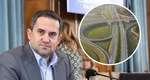 Autostrada „Unirii” A8 intră în linie dreaptă. Ministrul Transporturilor: „Începutul lui 2026 va însemna și startul etapei de proiectare pentru această autostradă atât de așteptată”