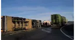 Un TIR plin cu porci vii s-a răsturnat pe un drum european din Cluj. Medicii i-au acordat șoferului primul ajutor
