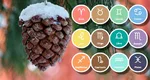 Horoscop ianuarie 2026. Perioadă esențială pentru trei zodii. Li se schimbă viața, vor avea parte de noroc ca niciodată!
