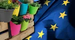 Ghivecele vor dispărea de pe piață! Noile reguli pregătite de UE