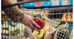 Cardul de cumpărături alimentare revine în 2026 şi se alimentează la două luni. Cine este eligibil și cum se poate solicita, formularele sunt pe site-ul Finanţelor
