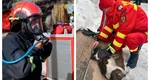 Cățel salvat în ultima clipă de pompieri dintr-o bucătărie în flăcări. Un paramedic SMURD i-a acordat primul ajutor