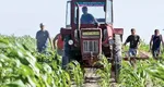 Statele UE au aprobat vineri acordul comercial cu blocul Mercosur. România a votat în favoare deși ministrul Agriculturii s-a opus