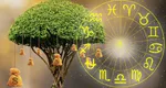Horoscopul banilor pentru luna februarie 2026: 3 zodii își extind sursele de venit