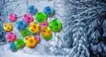 Rezultate Loto 15 ianuarie 2026. Report la Loto 6/49 la categoria I de peste 3,05 milioane de euro