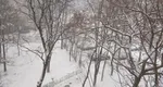 VIDEO Ninge ca-n povești peste sud-estul României. Capitala s-a îmbrăcat deja în alb