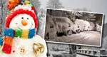 Prognoza meteo 11 ianuarie 2026. Meteorologii anunță ger în toată țara și ninsori în mai multe zone, inclusiv la București