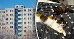 Ce spune legea despre animalele de companie de la bloc. Sunt obligați proprietarii să le treacă la întreținere?