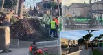 Un bărbat român, rănit după prăbușirea unui copac, în Roma: „A fost aruncat la câțiva metri”
