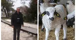 Fermier distrus de secetă și datorii: ”Am pregătiți 600 de miei de Paște și niciun ban să cumpăr furaje pentru animale!”