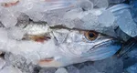 De ce Pangasius, cel mai toxic pește din lume, este cel mai cumpărat din supermarketuri. Se vinde ca pâinea caldă