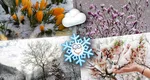 Ninsori în plină primăvară! Anunțul făcut de meteorologi pentru lunile aprilie și mai