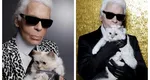 Pisica lui Karl Lagerfeld riscă să rămână săracă. Testamentul designerului a fost contestat