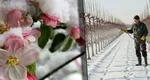 Stropirea pomilor fructiferi în luna februarie. Ce trebuie să eviți să faci, potrivit specialiștilor