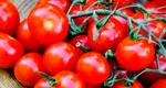 Când ajung pe piață primele roșii românești. Pe tarabe prețurile ar putea ajunge la 100 lei kilogramul