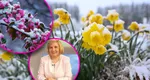 Elena Mateescu (ANM) anunţă ger de -10 grade de luni şi zăpada mieilor de Mărţişor: „Nu excludem ninsori şi în martie”