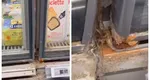 VIDEO Fost director la Protecția Consumatorilor, șocat de ce a găsit în magazine din Franța. ”Dacă nu de la cei mai buni, de la cine să învățăm?”