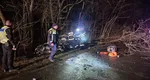 Imagini cumplite de la accidentul din Neamț, cu 4 morți și 3 răniți. Unul dintre șoferi a murit de ziua lui, celălalt ar fi trebuit să împlinească 20 de ani mâine. Un bebeluș de 5 luni a rămas orfan de ambii părinți VIDEO