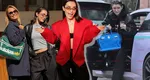 Alexia Eram și-a scos „comoara” de la Hermès la plimbare și l-a lăsat pe Tonghi acasă! Cât costă geanta care valorează cât o mașină